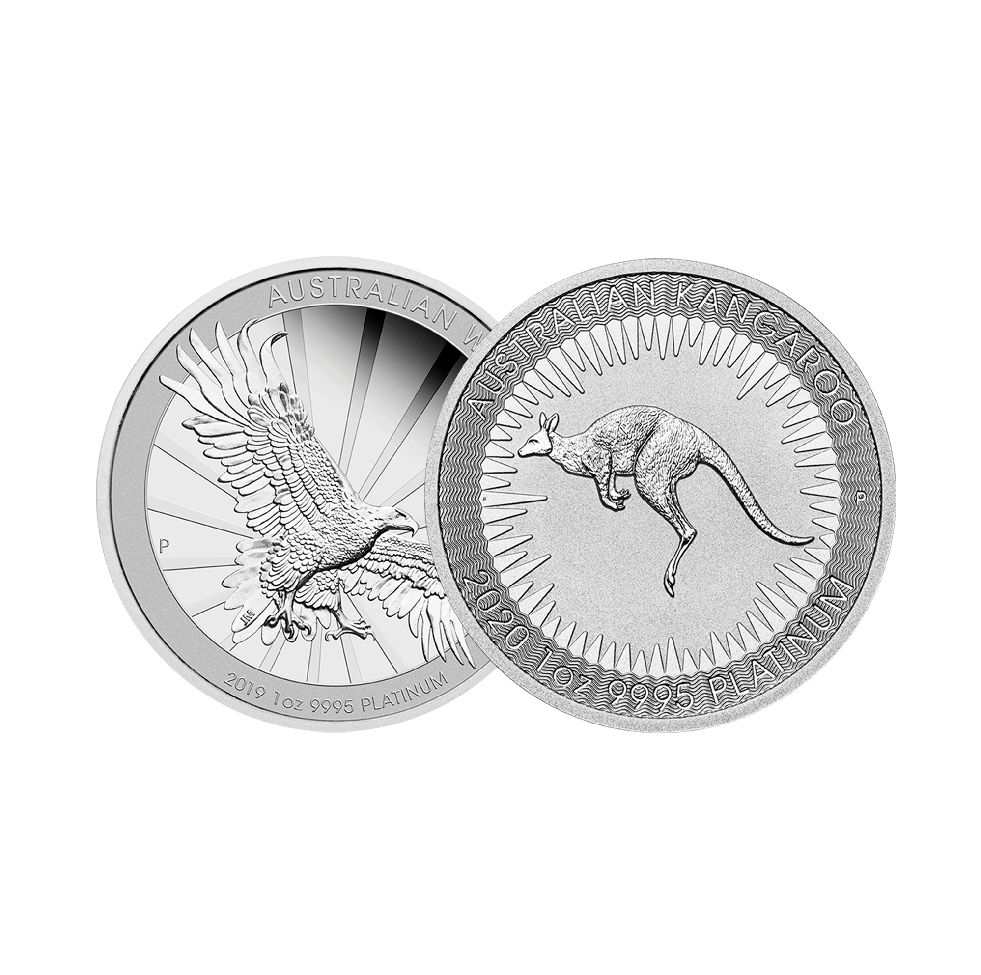 1oz Platinum Coin (Secondary)