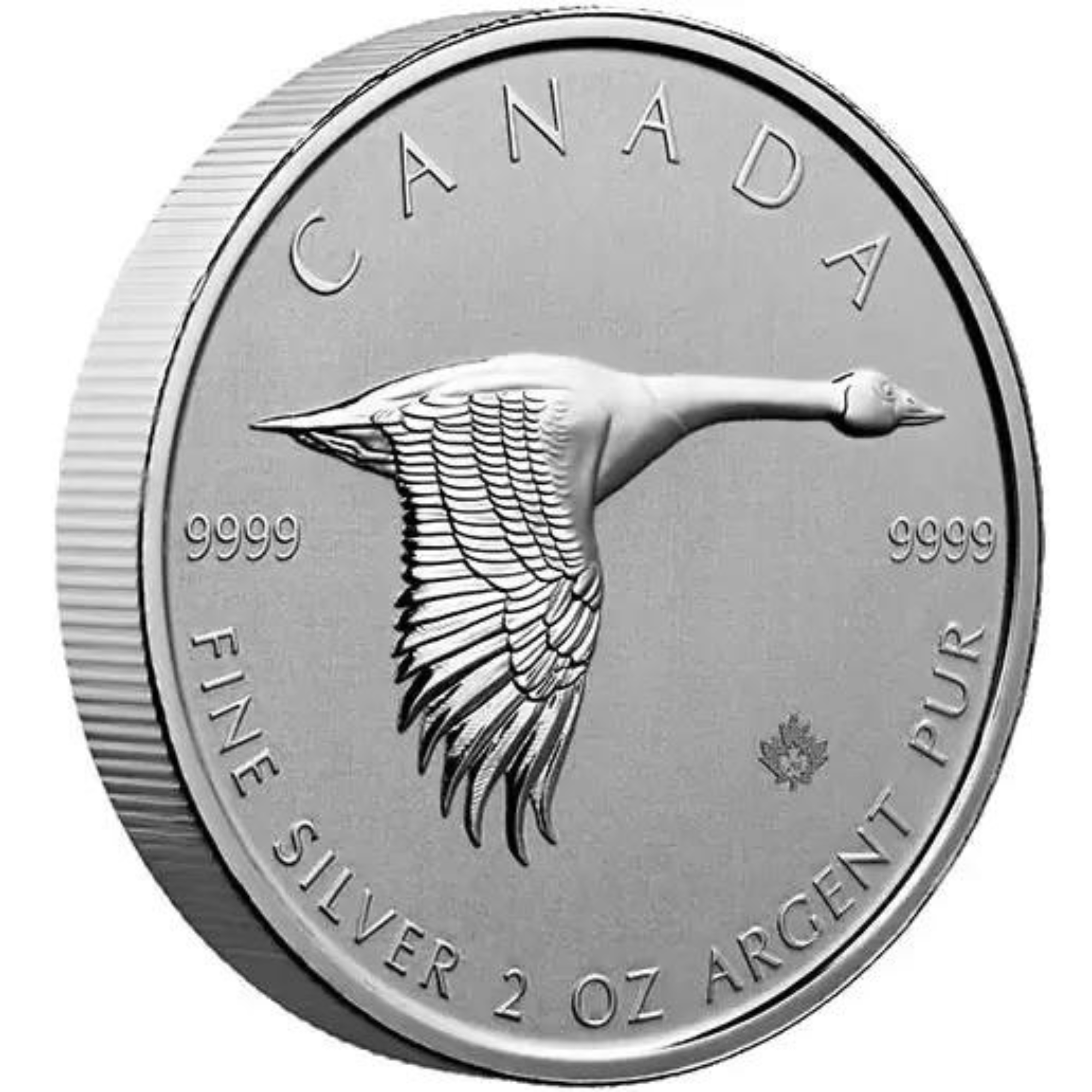 2oz Canadian Silver Goose Coin