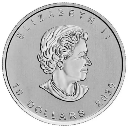 2oz Canadian Silver Goose Coin