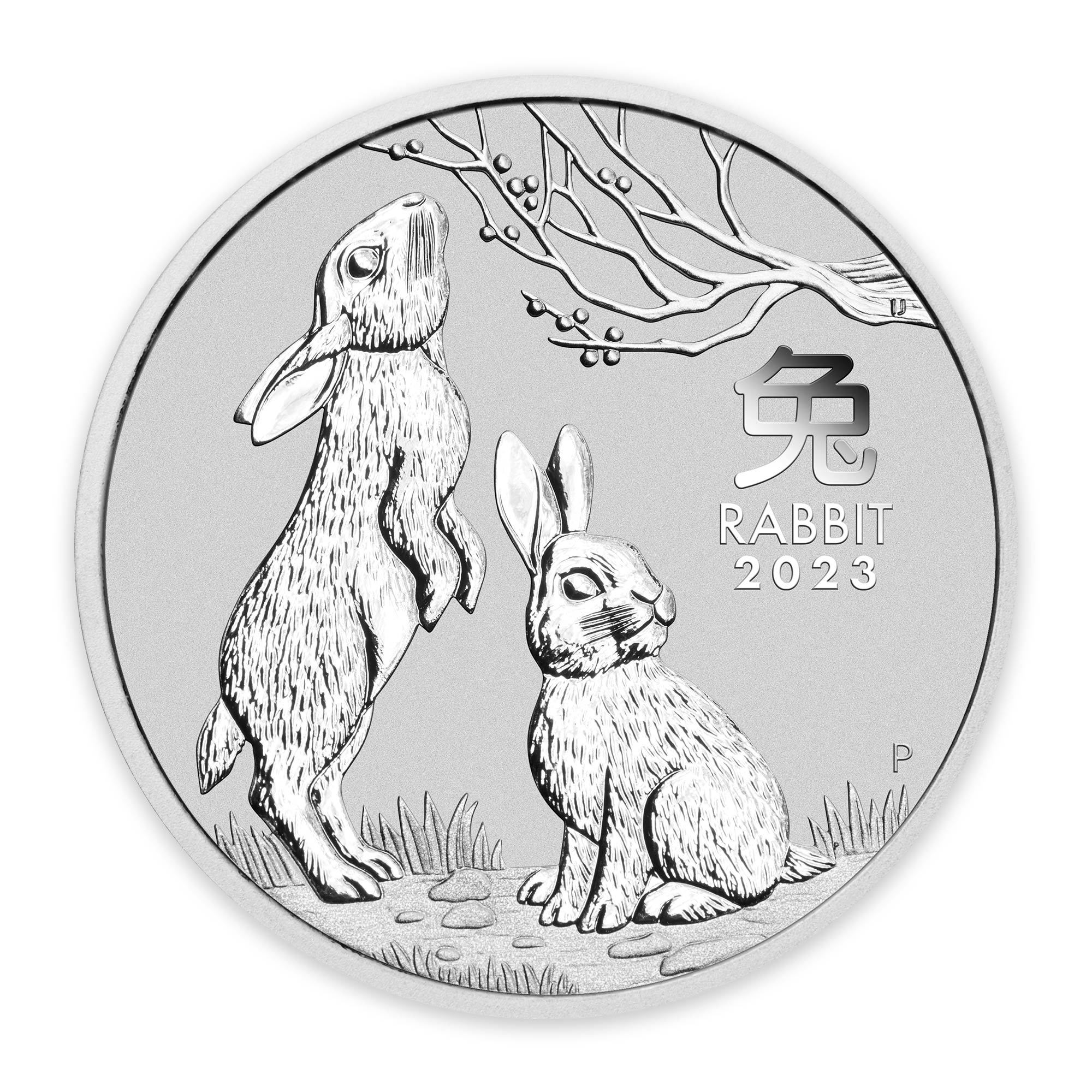 2023 1kg Perth Mint Silver Lunar Rabbit Coin Series 3