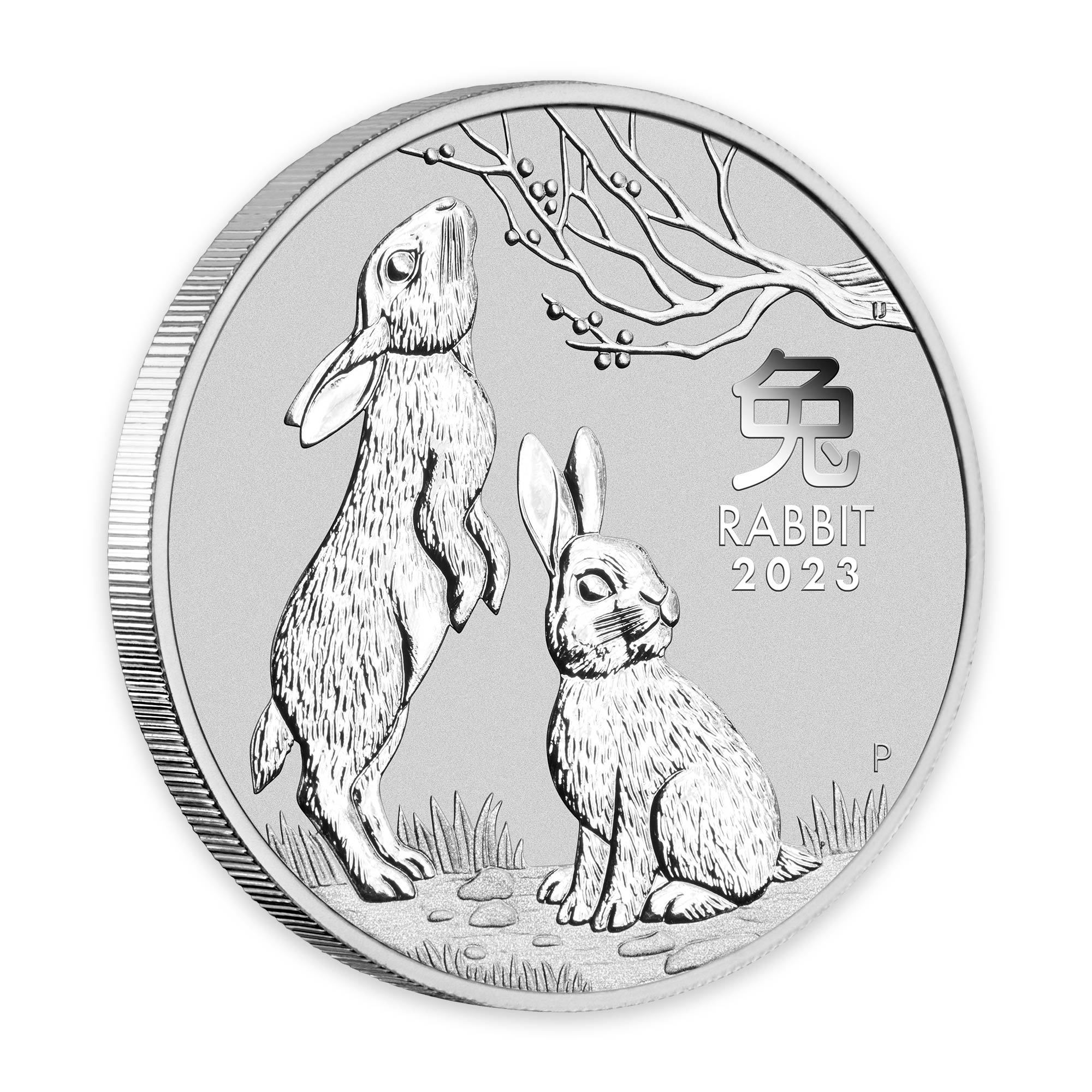 2023 1kg Perth Mint Silver Lunar Rabbit Coin Series 3