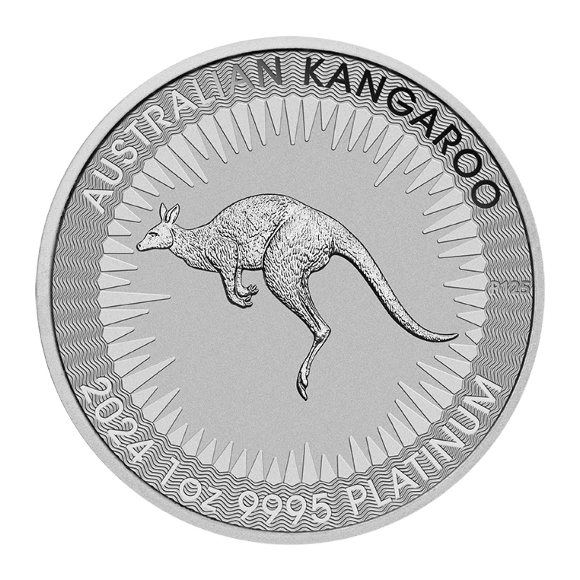 2024 1oz Perth Mint Platinum Kangaroo Coin
