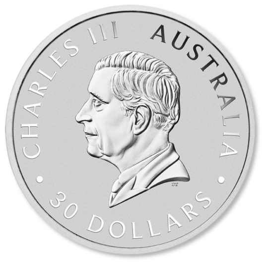 2024 1kg Perth Mint Silver Koala Coin