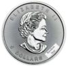 1oz Canadian Silver Maple Leaf (Secondary) 1oz Canadian Silver Maple Leaf