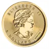 100989 - Obverse 1/10oz Canadian Gold Maple Leaf (Random Years) 1/10oz Canadian Gold Maple Leaf