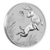 2023 1oz Perth Mint Platinum Lunar Rabbit Coin Series 3 2023 1oz Perth Mint Platinum Lunar Rabbit Coin Series 3