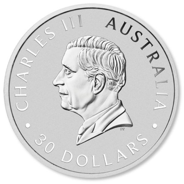 2024 1kg Perth Mint Silver Koala Coin 2024 1kg Perth Mint Silver Koala Coin
