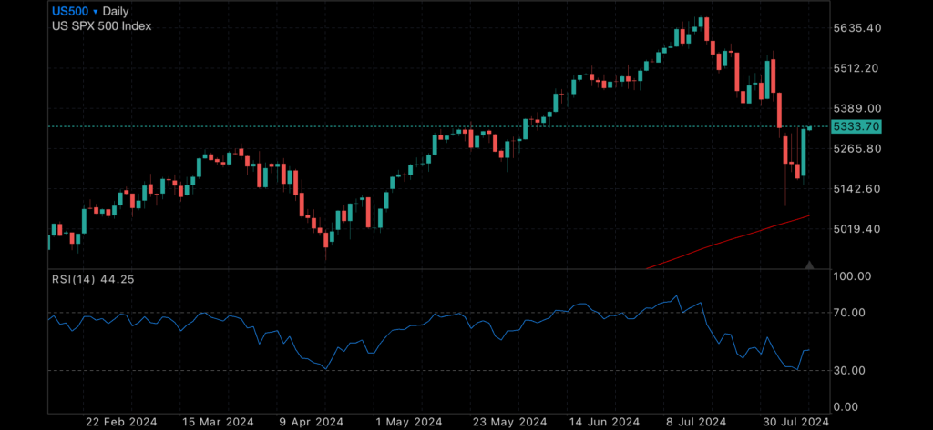 Watch out for a Dead Cat Bounce Watch out for a Dead Cat Bounce Blog Categories Watch out for a Dead Cat Bounce