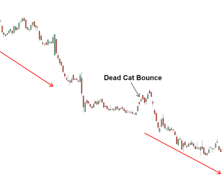 US Dead Cat Bounce as Sharemarkets Continues to Tumble Insights US Rate cuts