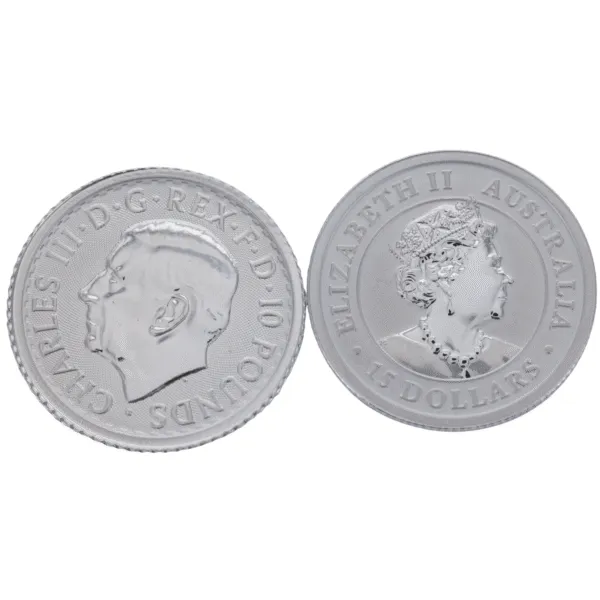 101789 - Obverse 1/10oz Platinum Coin (Secondary) 1/10oz Platinum Coin (Secondary)