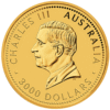 101867 - Obverse 2026 1kg Perth Mint Gold Kangaroo Coin 2026 1kg Perth Mint Gold Kangaroo Coin